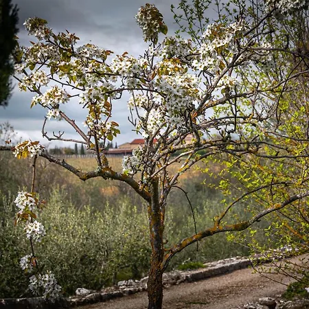 Casa Panorama Σπίτι διακοπών San Sano